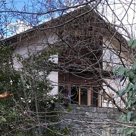Gemuetliche Ferienwohnung Mit Garten Biasca Εξωτερικό φωτογραφία