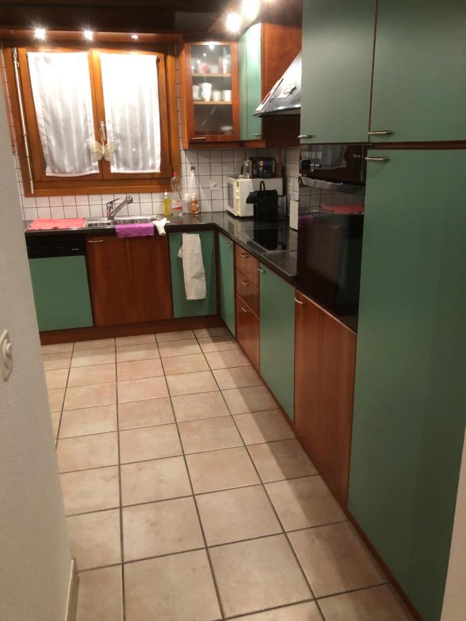 Gemuetliche Ferienwohnung Mit Garten Biasca Εξωτερικό φωτογραφία
