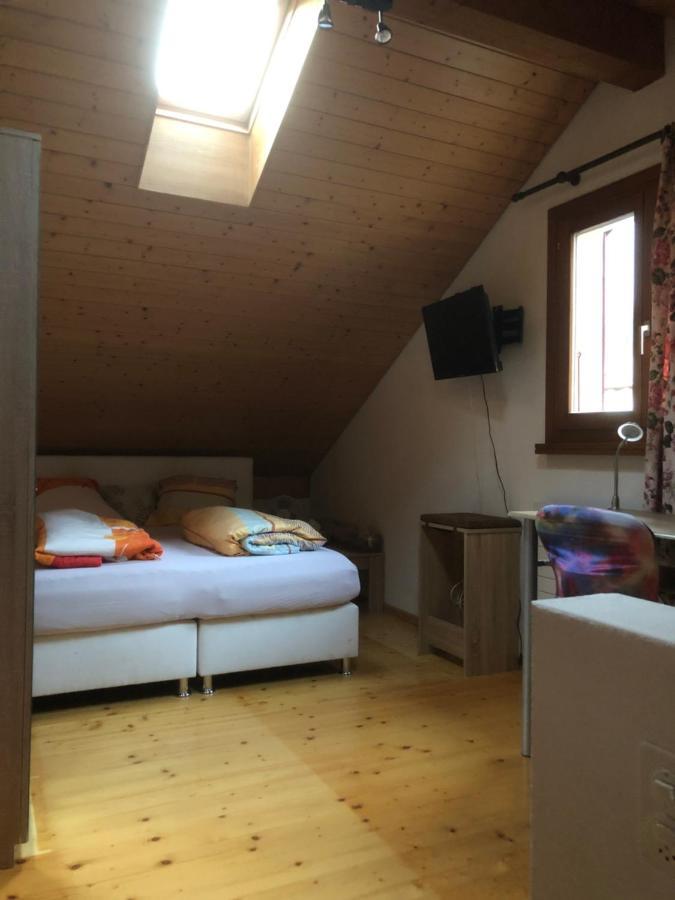 Gemuetliche Ferienwohnung Mit Garten Biasca Εξωτερικό φωτογραφία